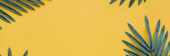 2ndhandclothes banner