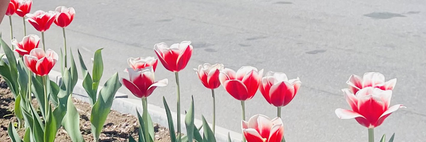 Na sambu 🇰🇪🇺🇬🇬🇧 banner