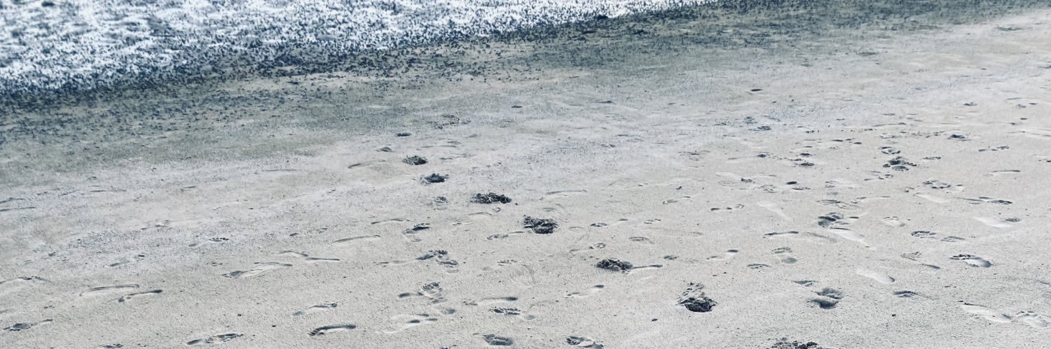 PerfectVelvetNH's profile banner image