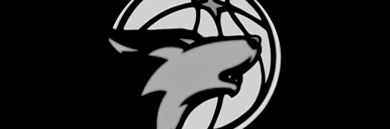 ballowolvesaau's profile banner image