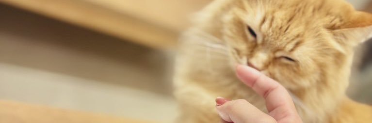 ___erioO's profile banner image