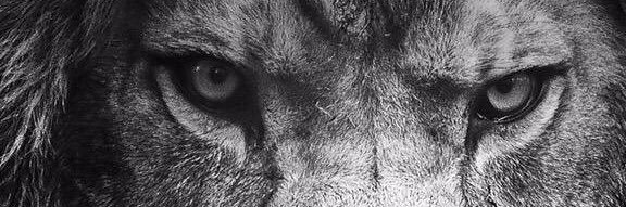 Blabelle24's profile banner image