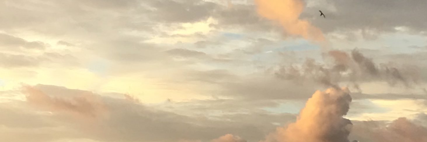 ellacanosa's profile banner image