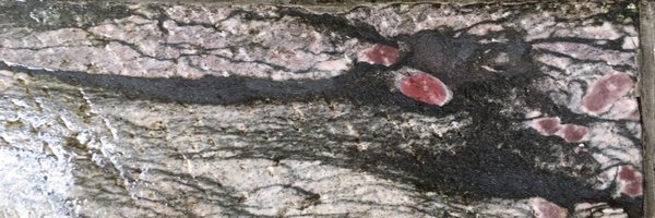 kaze_ons Profile Banner