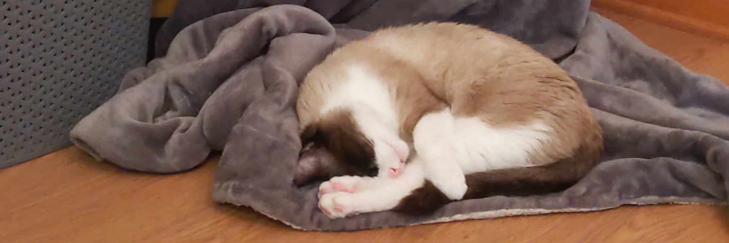 gracievmiller's profile banner image