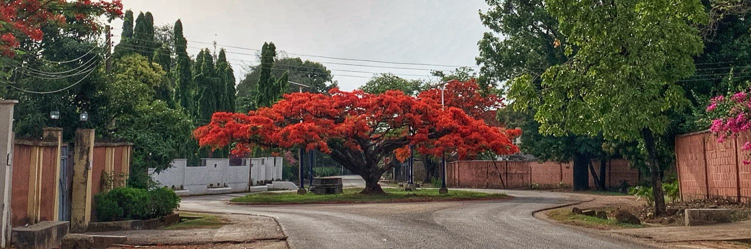 Mira Mira on the wall banner