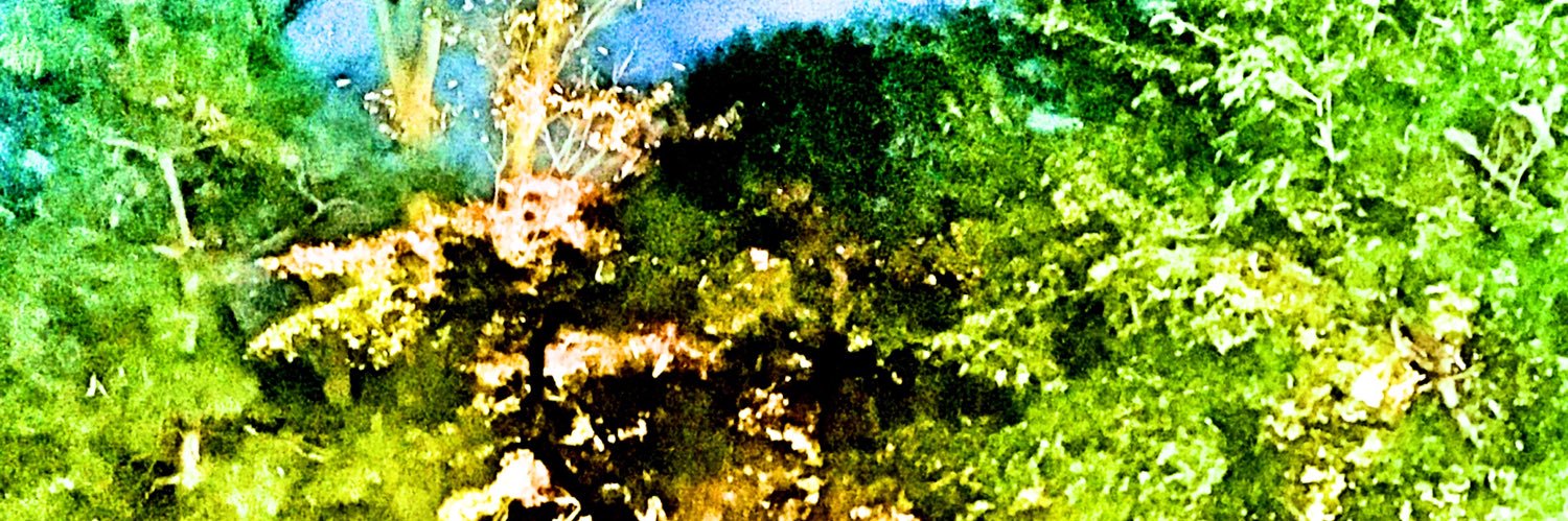 Garana banner