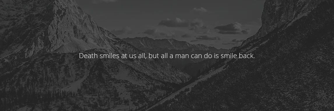 Austin Taylor banner