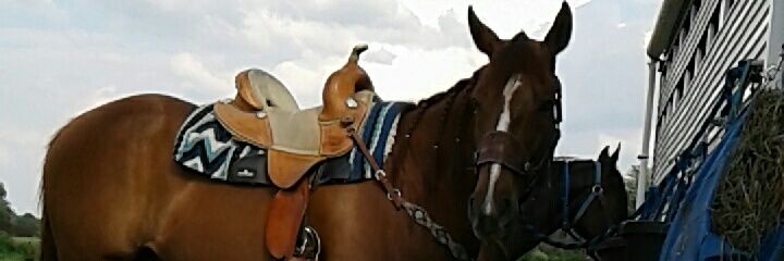 KaceeSorry2013's profile banner image