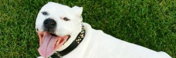 bcain142's profile banner image