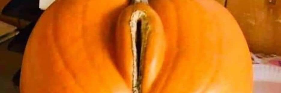 samèrelipopette banner