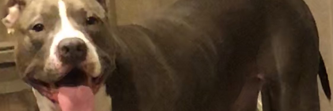 HoustonPike's profile banner image