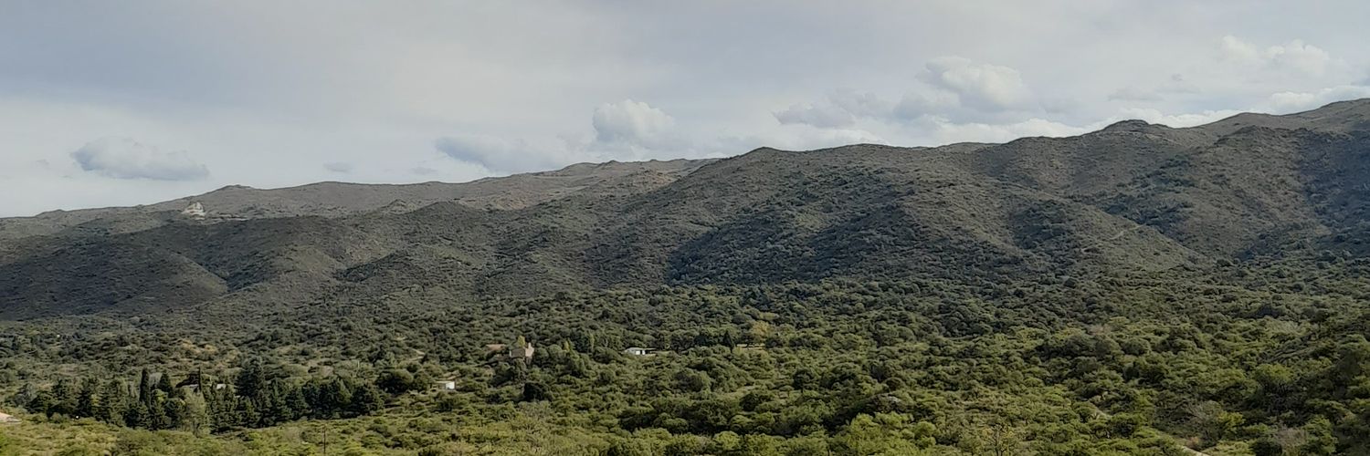 F banner