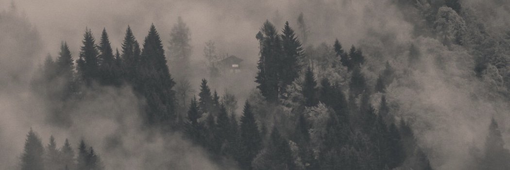 bernhardsteiner's profile banner image