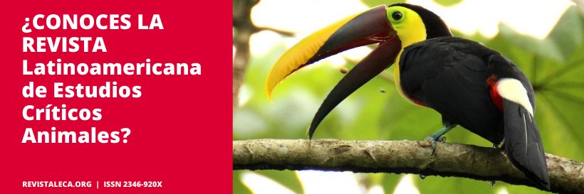 LecaRevista's profile banner image