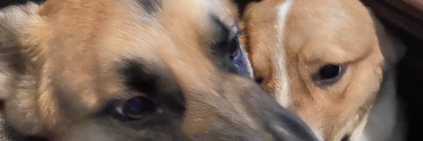 efrainmojoe13 Profile Banner