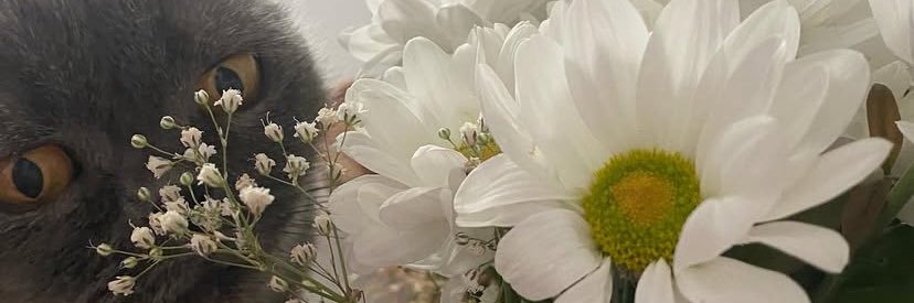 fundalikk's profile banner image