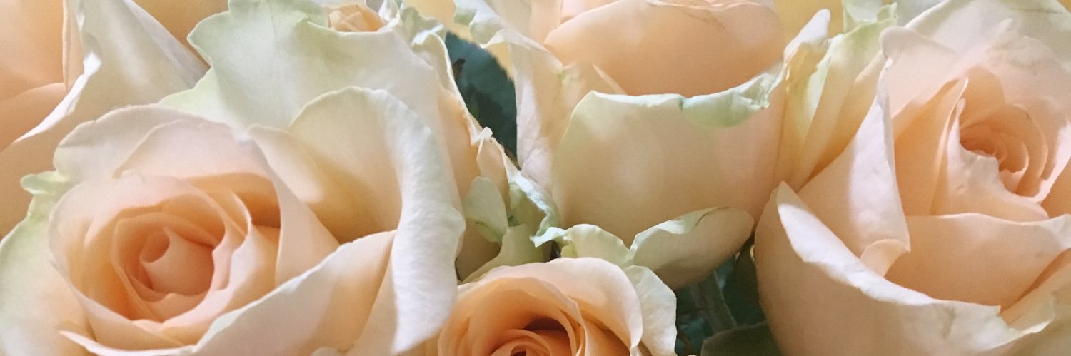 picoangela's profile banner image