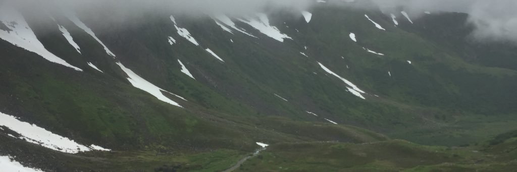 unbridledrunner's profile banner image
