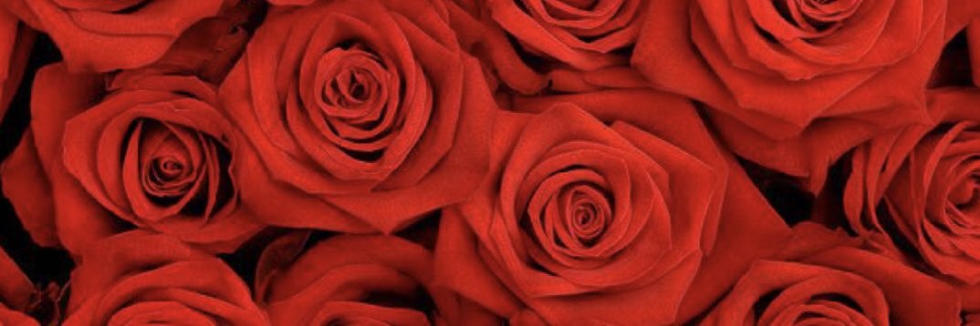 Valerie Ann 🦋 banner