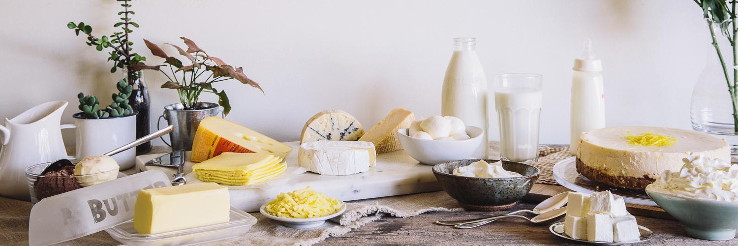 Dairy Connect banner