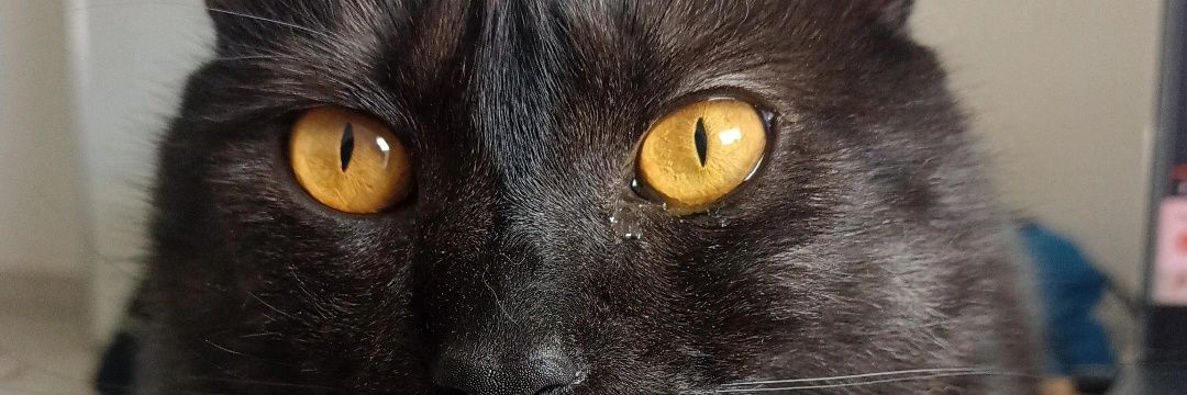 pppppmel's profile banner image