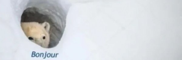 ITShadow__ Profile Banner
