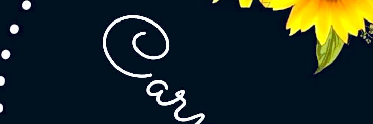 VirgenMeneses's profile banner image