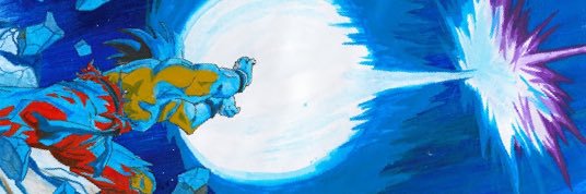 tim banner