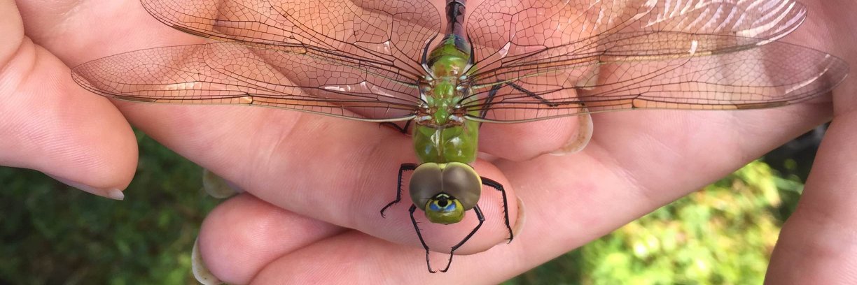 Rideau Valley Conservation Foundation banner