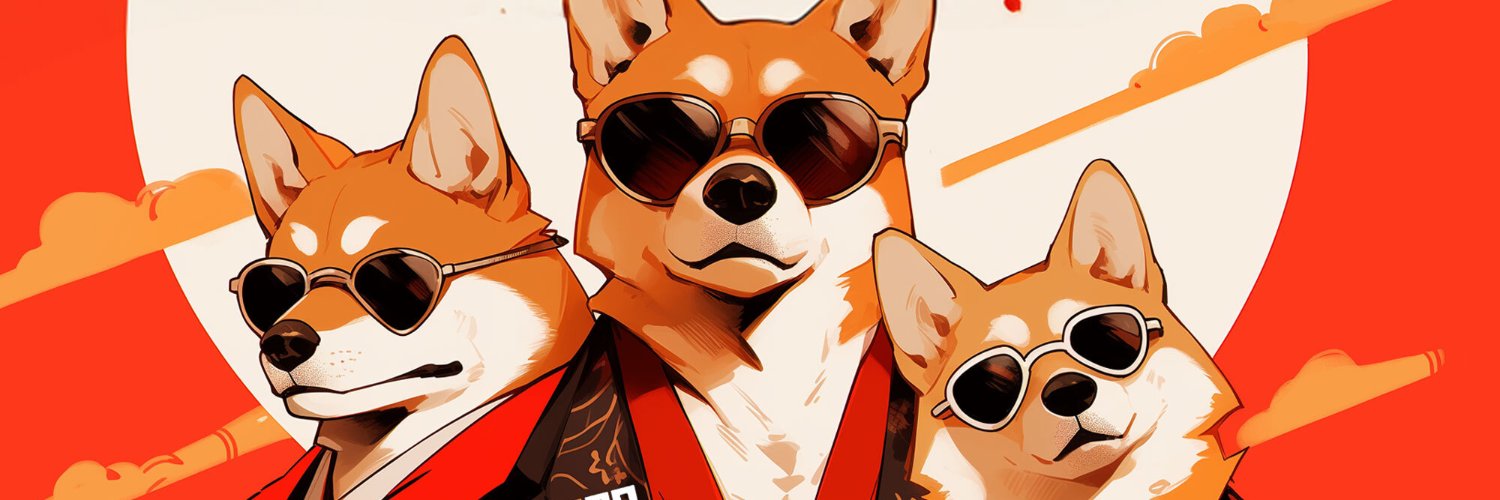 Vini D B Sensei banner