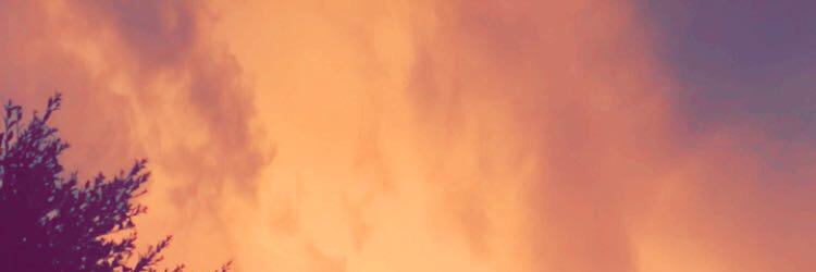 Deletedthistwit's profile banner image