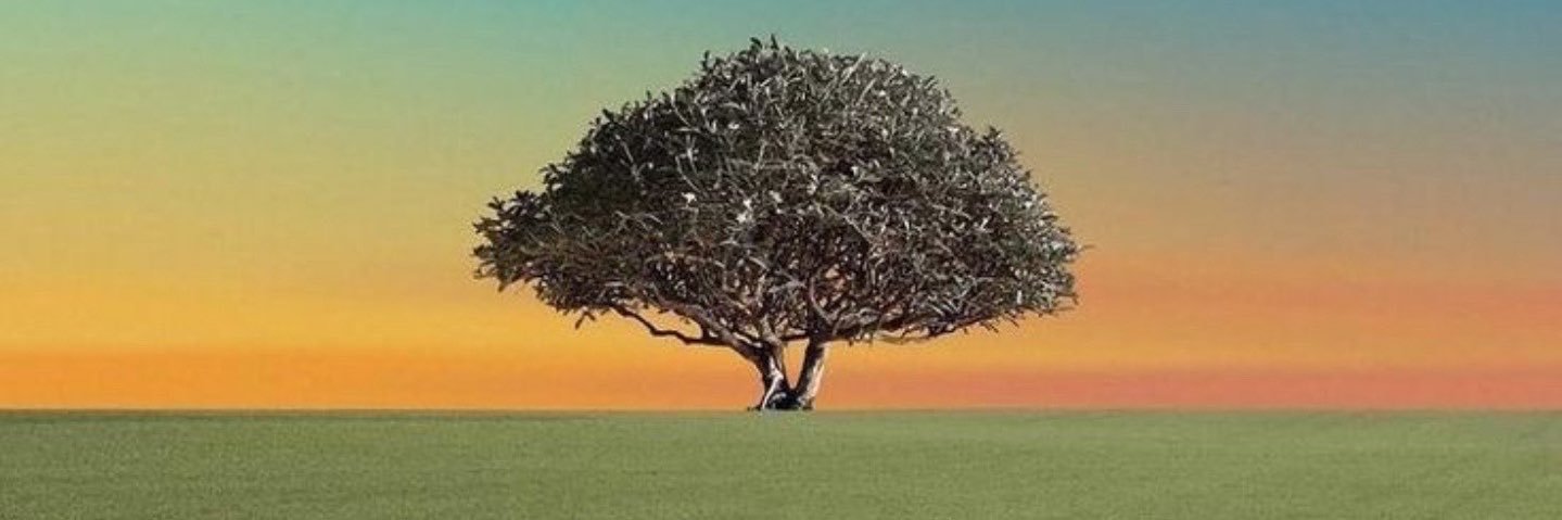 PepKibo's profile banner image