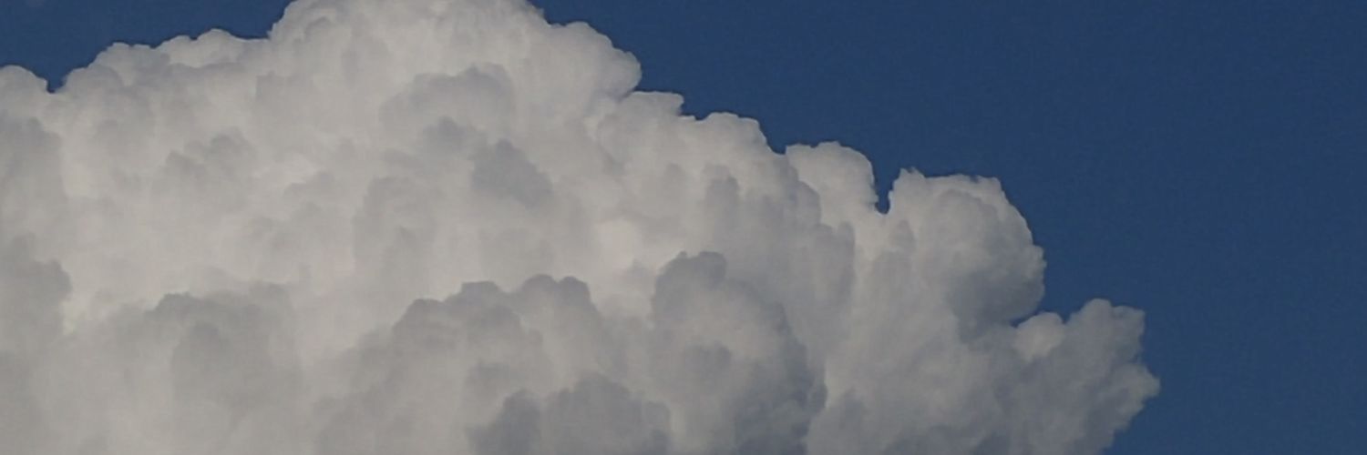 Toyall's profile banner image