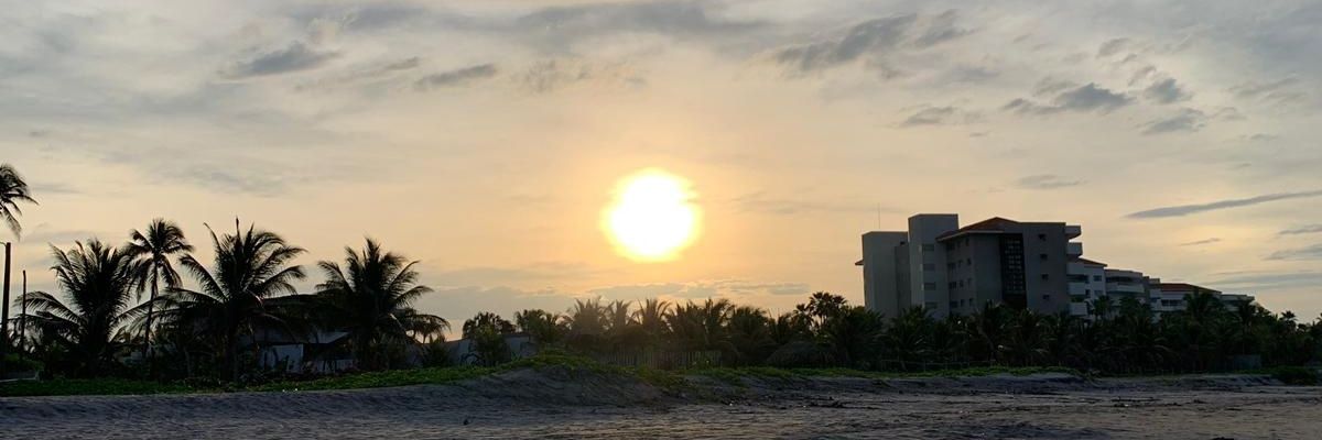 Emellita's profile banner image