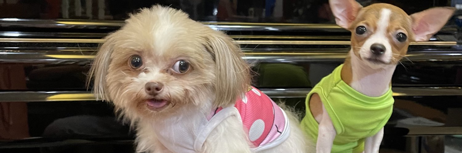 JenySaav's profile banner image
