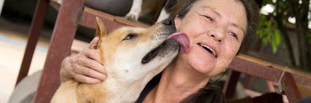 SoiDogCanada's profile banner image