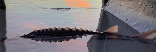SturgeonSlayers Profile Banner