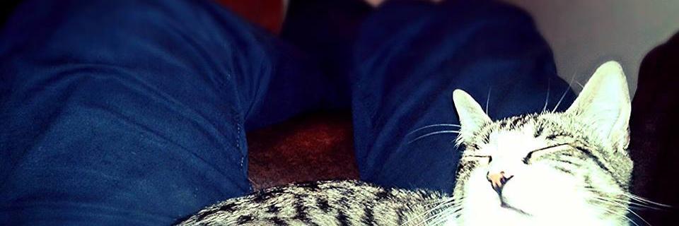 illaparatzorage's profile banner image