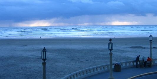 landes_taylor's profile banner image