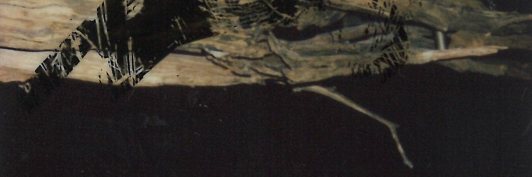 czhheonnlge's profile banner image