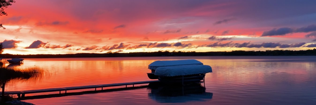 grace_noyes's profile banner image