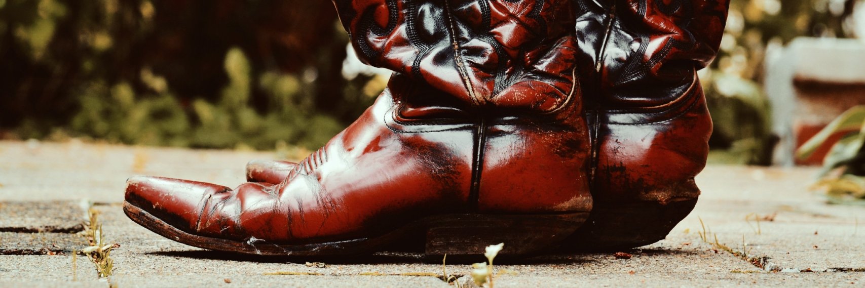 Matthew Bodnarek banner