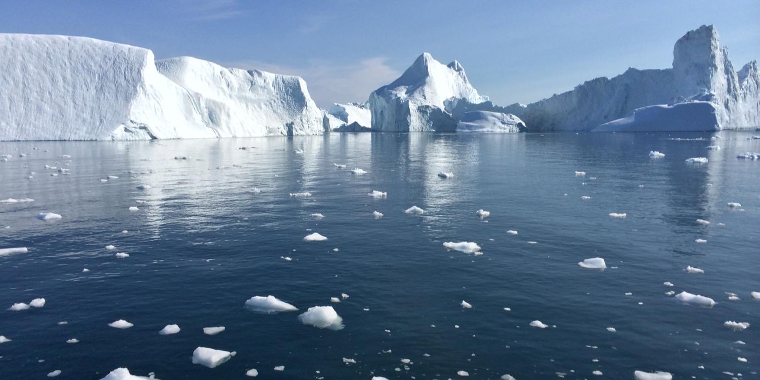 François P Champagne banner