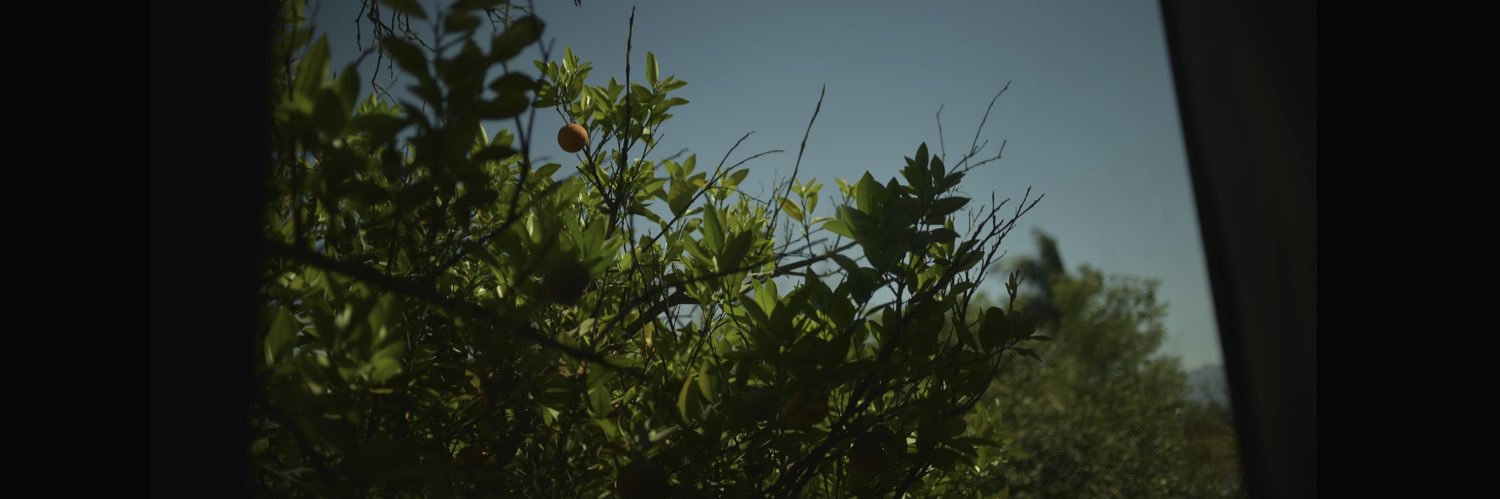 analaurasuarez's profile banner image