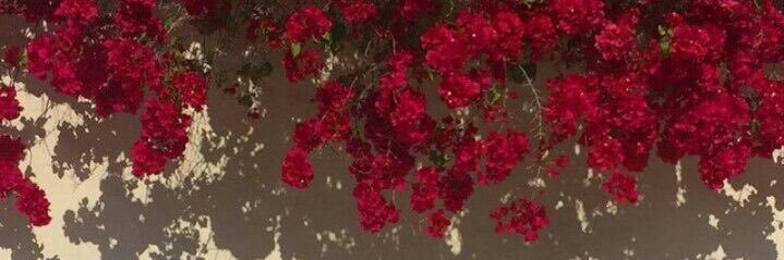 crised_her's profile banner image