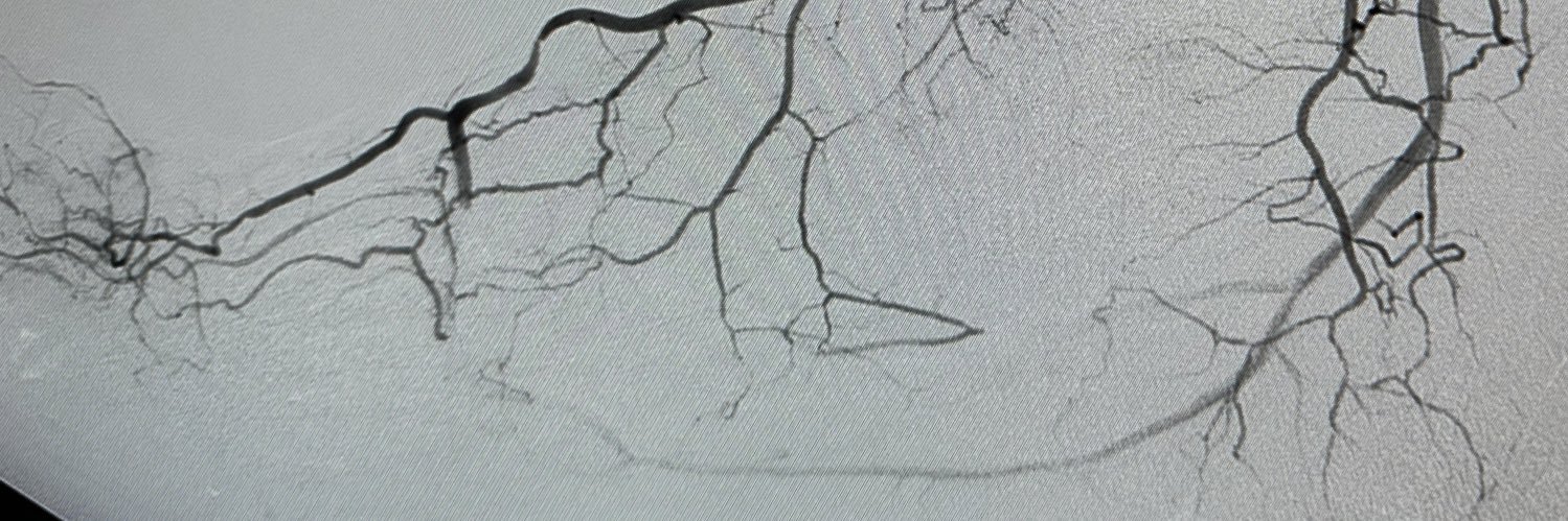 M_HamidBahrami's profile banner image