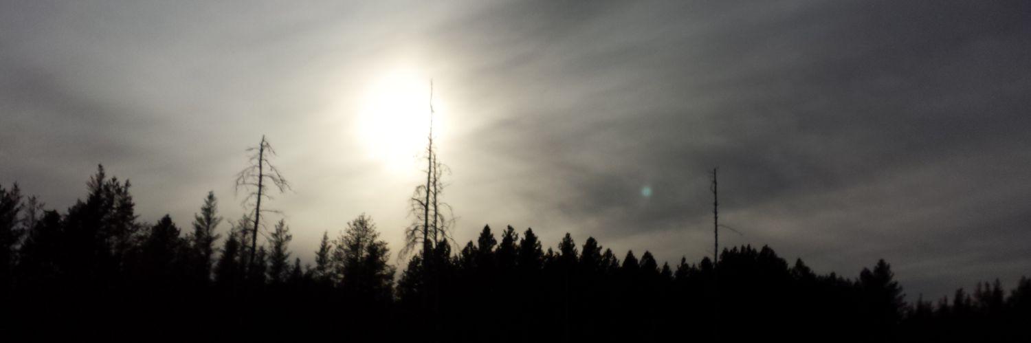 jtbuhler's profile banner image