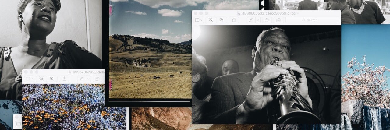 martesema's profile banner image