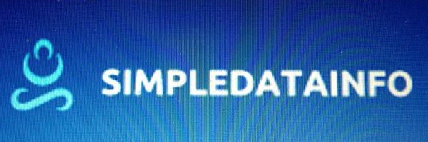 simpledatainfo Profile Banner